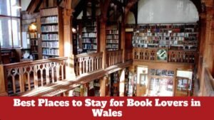 Best Places to Stay for Book Lovers in Wales