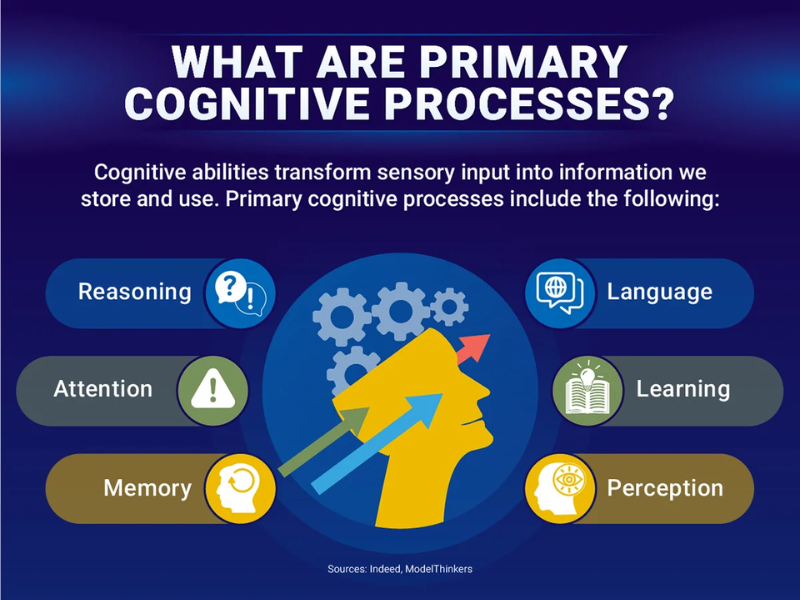 Cognitive-Processes