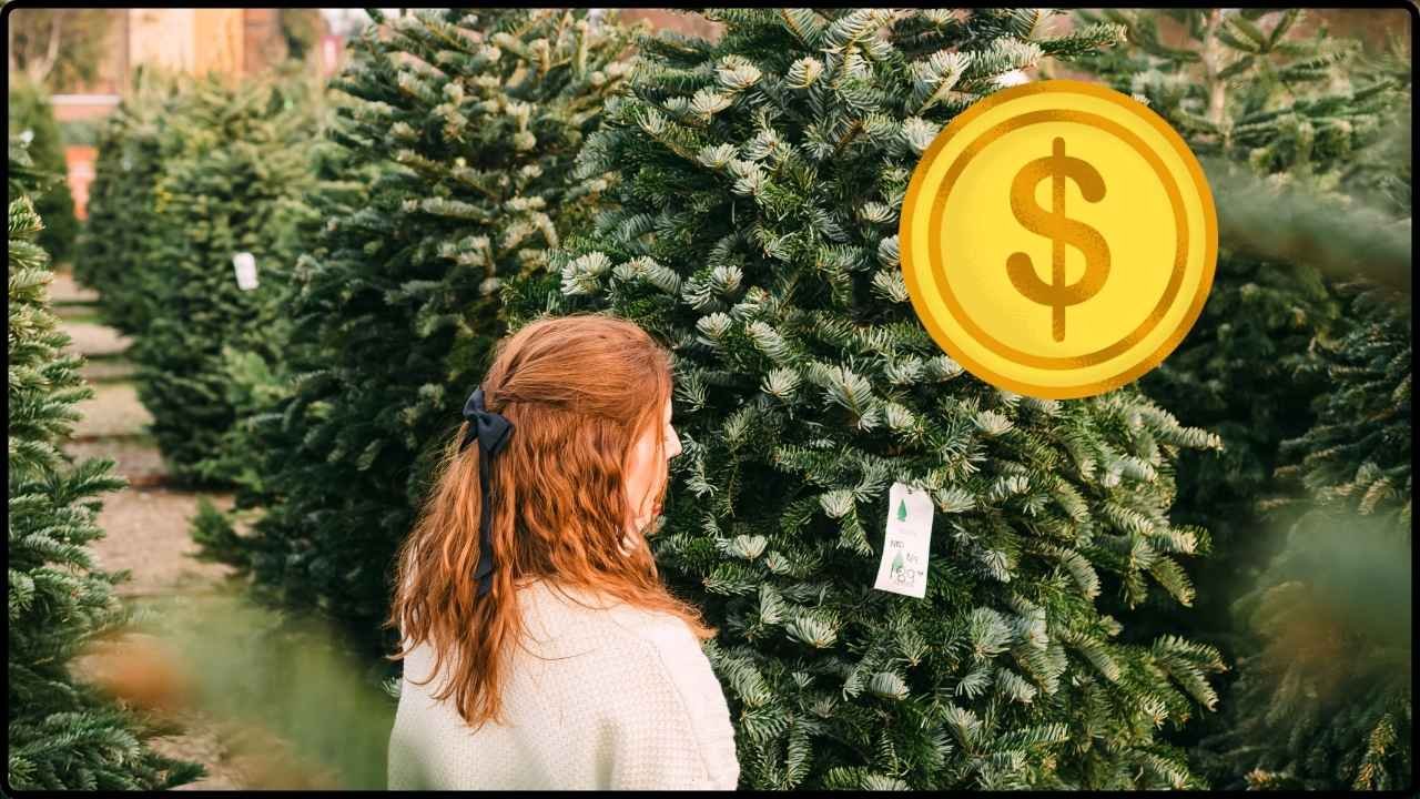 Shoppers Are Raving About These New Dollar Tree Finds