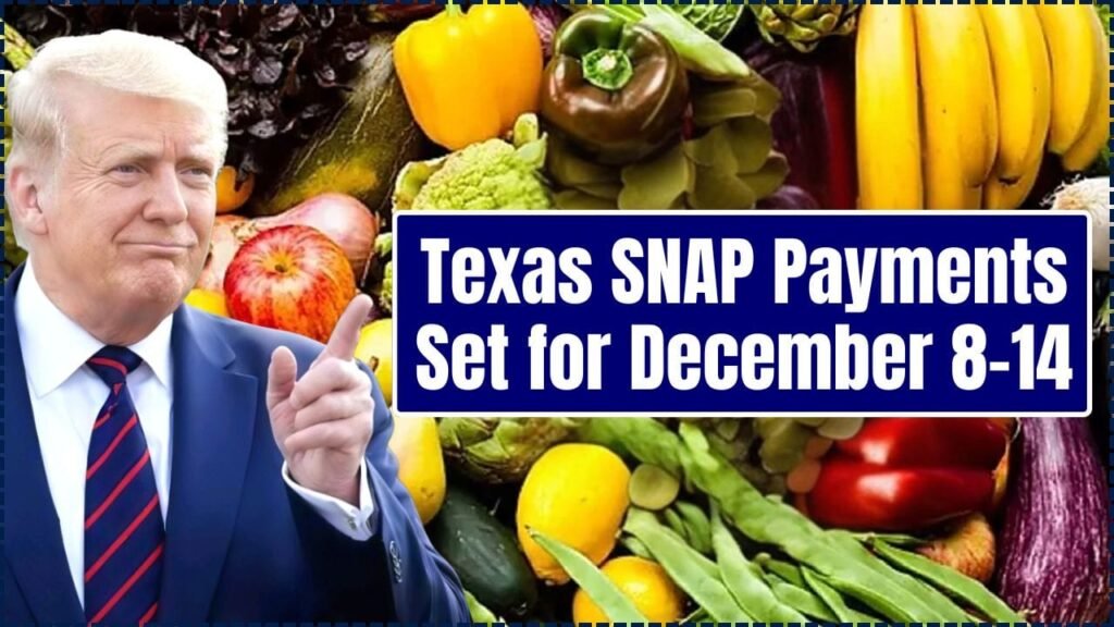 Texas SNAP Payments Set for December 8–14