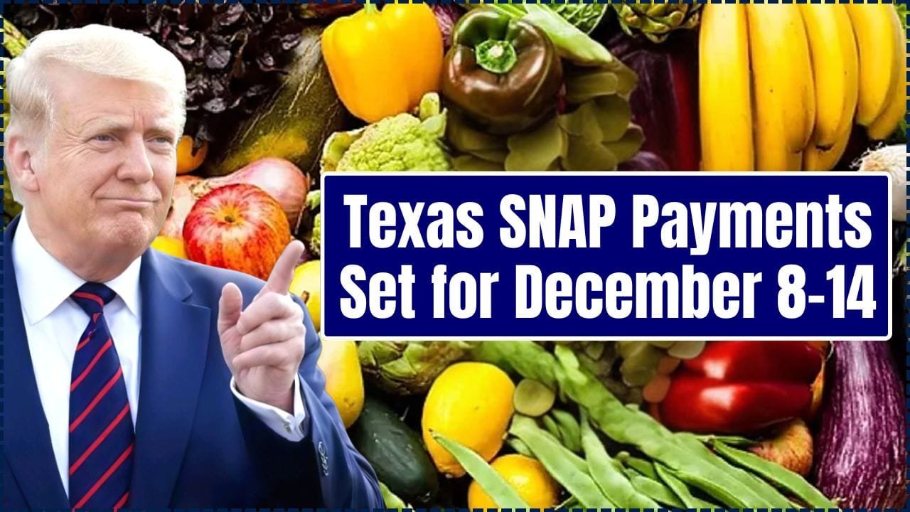 Texas SNAP Payments Set for December 8–14